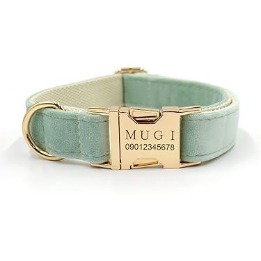 MASIMALO 本革 ワイド首輪 グリーン S 楽天市場】グリーン（首輪・胴輪・リード｜犬用品）：ペット